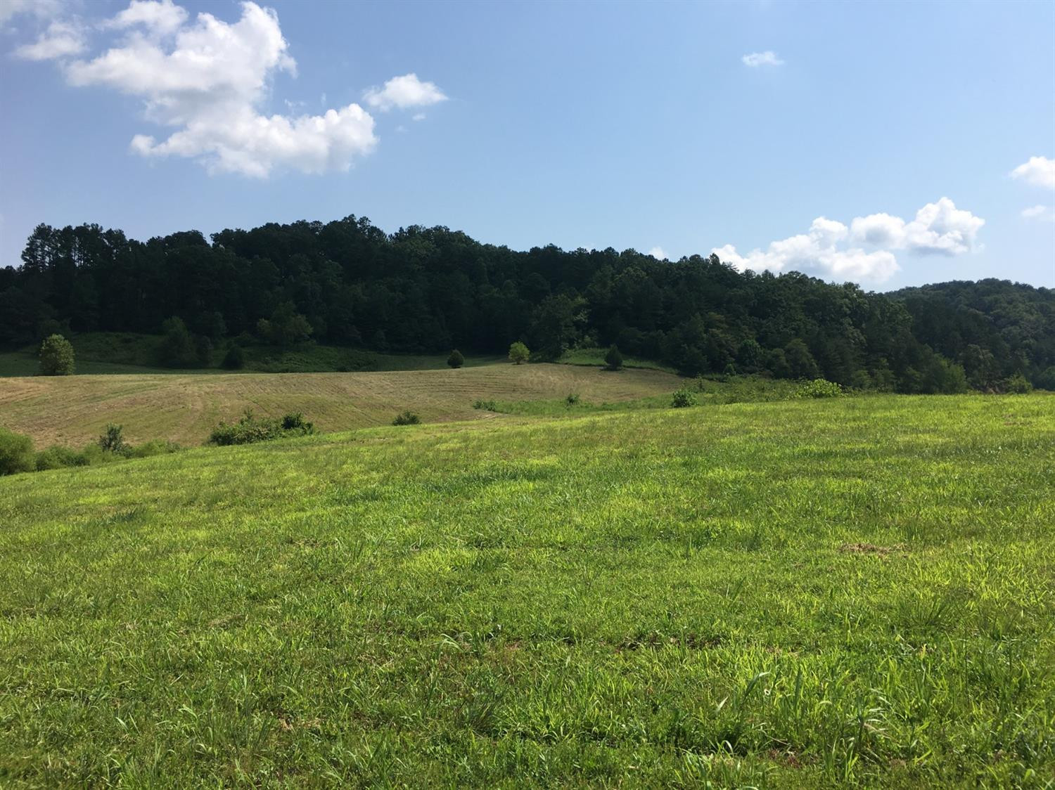 8181 Johnson Road London, KY 40741 - Photo 12 of 41 Photo 12