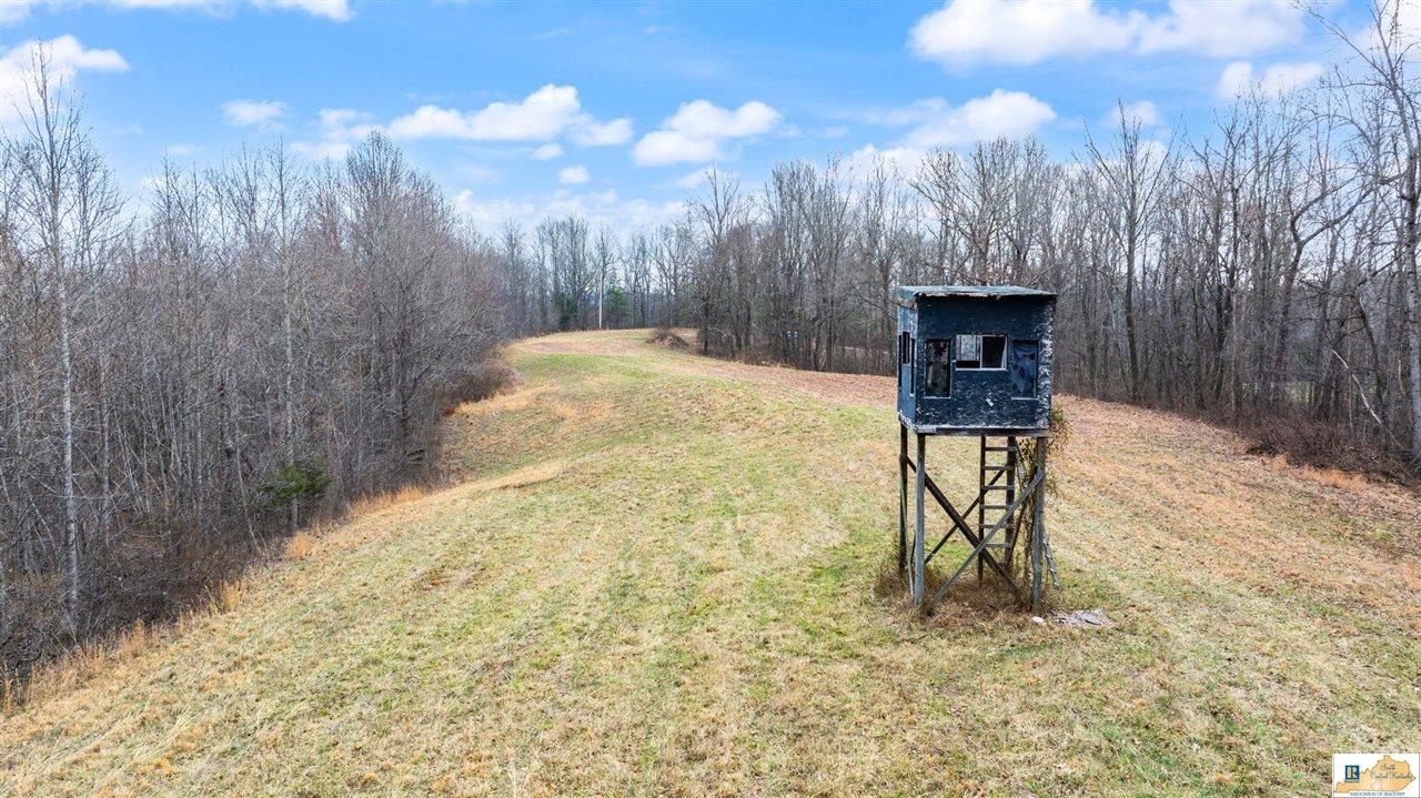 1266 Campground Road Bonnieville, KY 42713 - Photo 17 of 37 Gallery Image 17