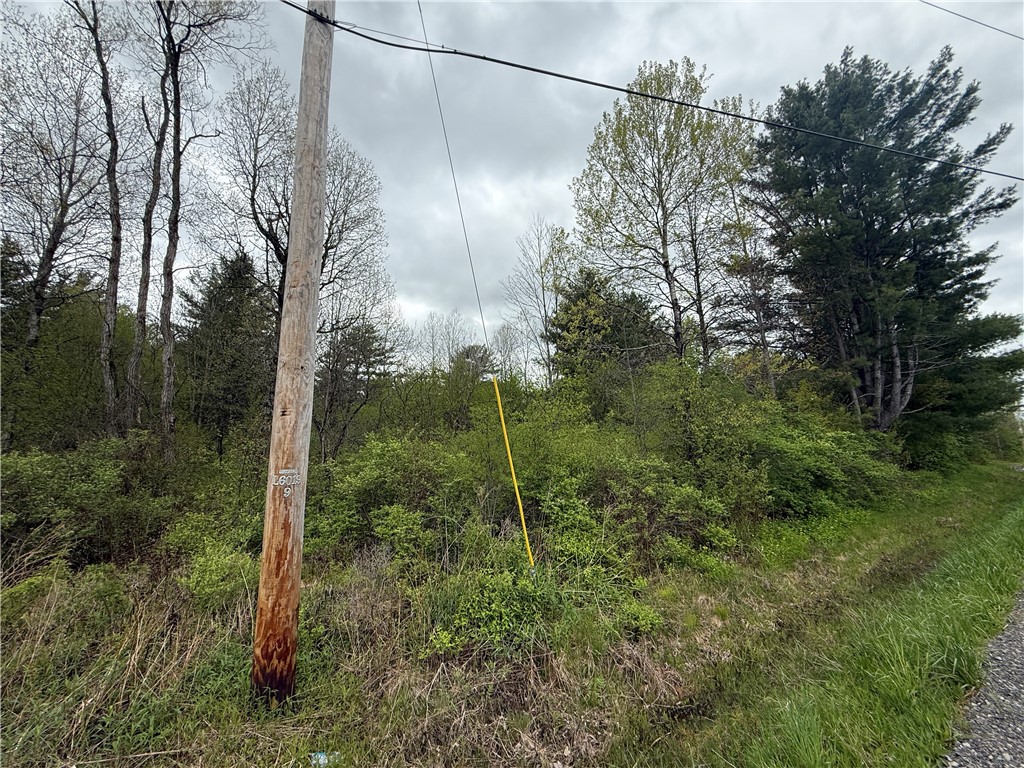 Caswell Road Freeville, NY 13068 - Photo 43 of 47