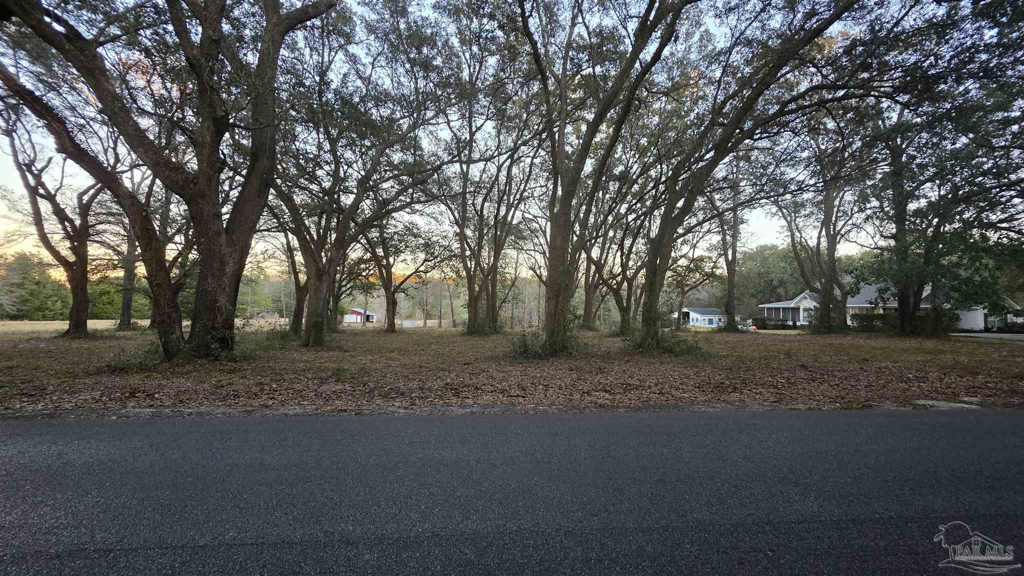 Lot 1 Tidwell Road Pace, FL 32571 - Photo 3 of 11