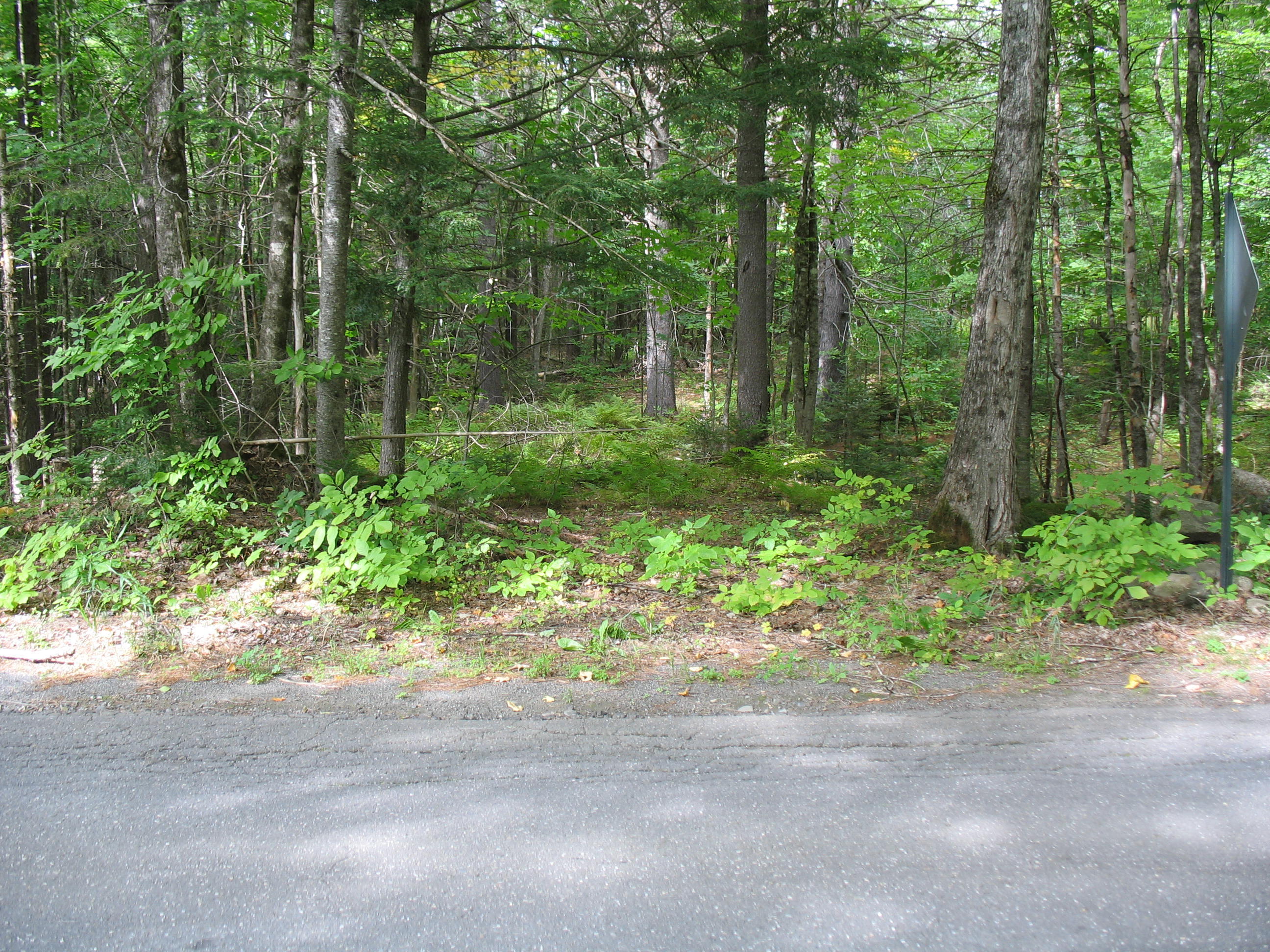 76-3 Wharff Road Guilford, ME 04443 - Photo 3 of 7 Wharrf rd 007