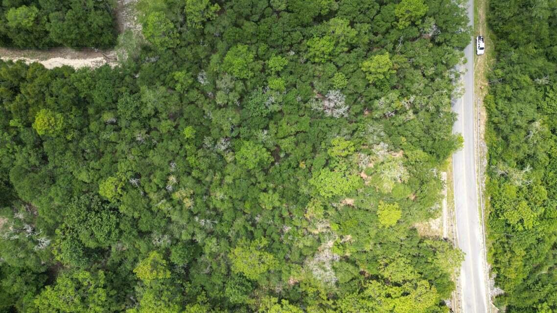 Lot 3 Spring Hill Road DeFuniak Springs, FL 32433 - Photo 5 of 17 20240816145835291365000000-o