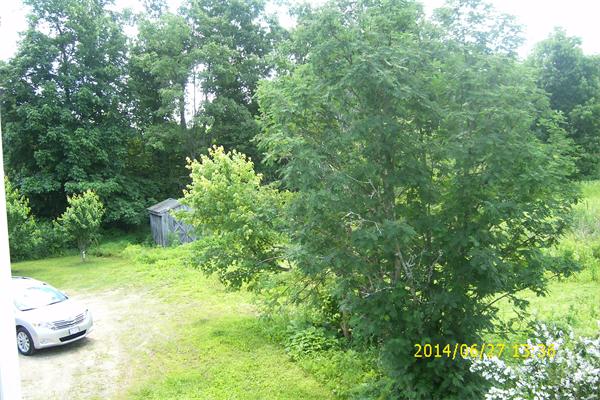 55 Ridge Road Rutland, MA 01543 - Photo 13 of 24 a backyard of a house with lots of green space and a fountain