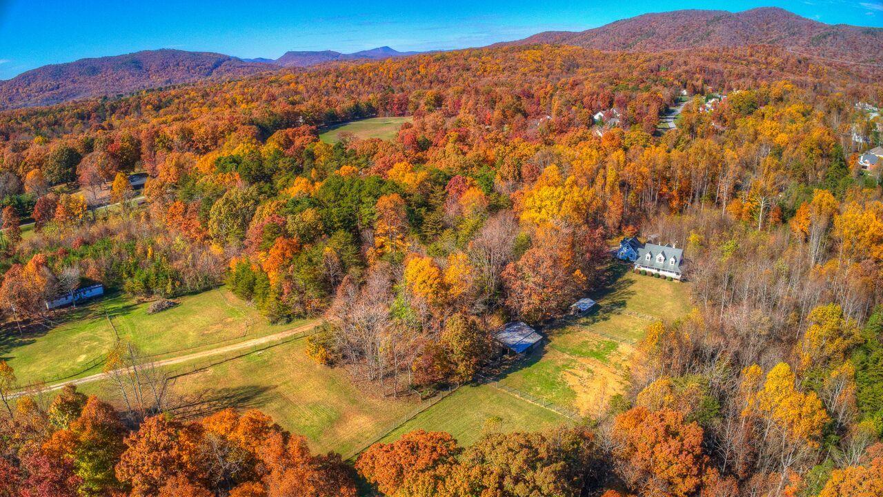 224 Shade Hollow Road Blue Ridge, VA 24064 - Photo 34 of 38 a view of a yard