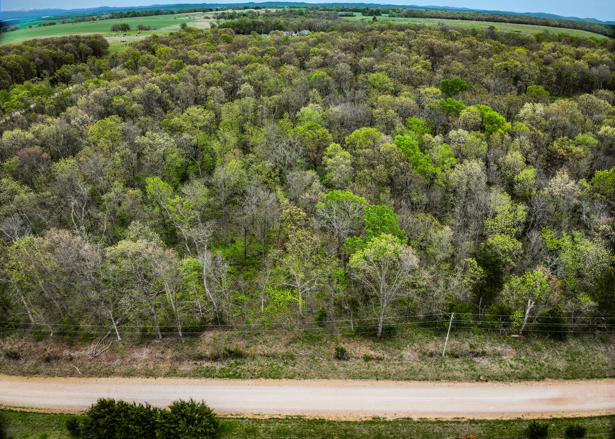 Lot 2 South 725 Road Stockton, MO 65785 - Photo 13 of 46 Stockton_725_Rd-53