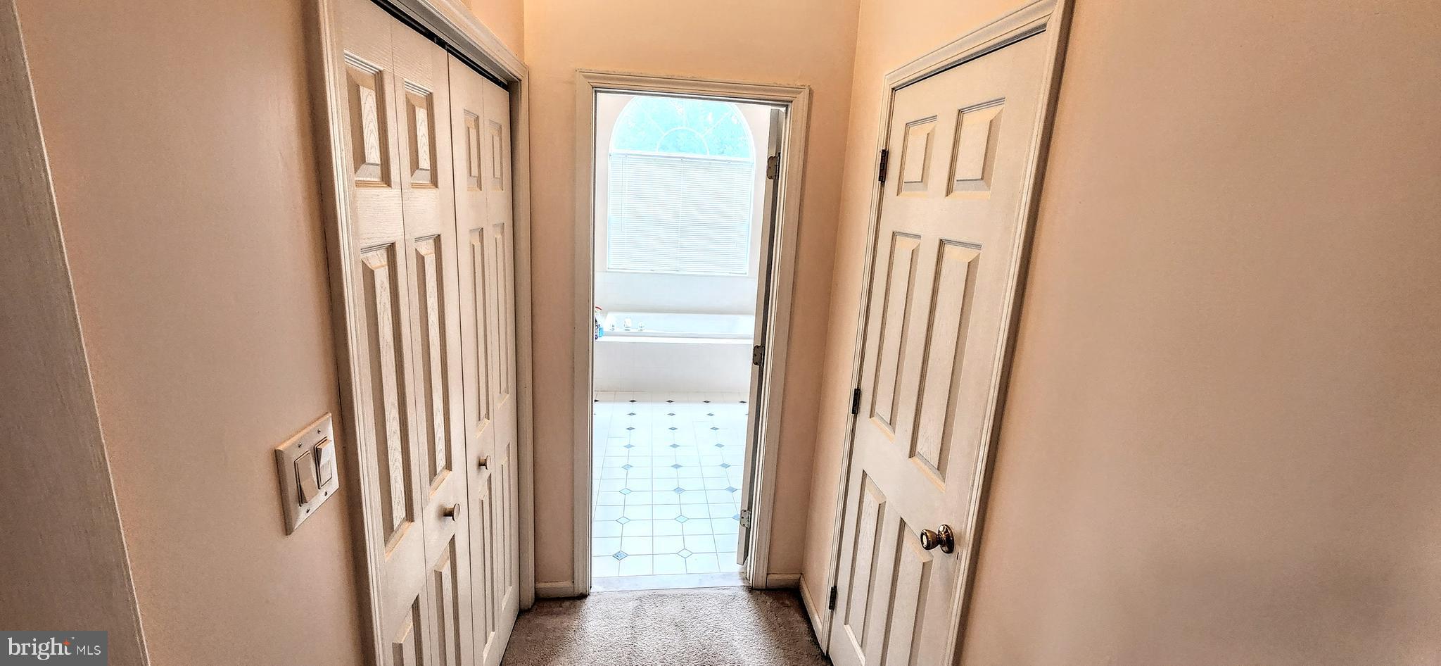 318 Canvasback Road Middletown, DE 19709 - Photo 14 of 28 Master Closets