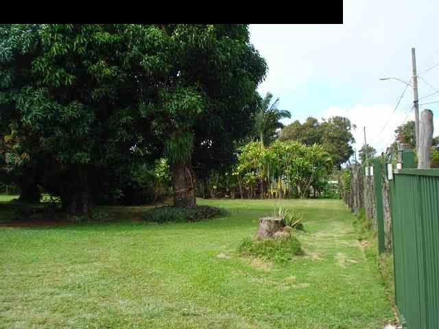 675 Mopua Street Haiku, HI 96708 - Photo 11 of 18 a fire hydrant in the middle of a field