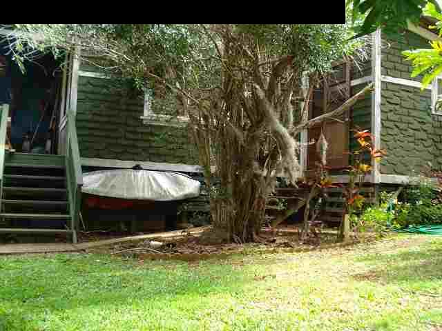 675 Mopua Street Haiku, HI 96708 - Photo 5 of 18 a view of a backyard