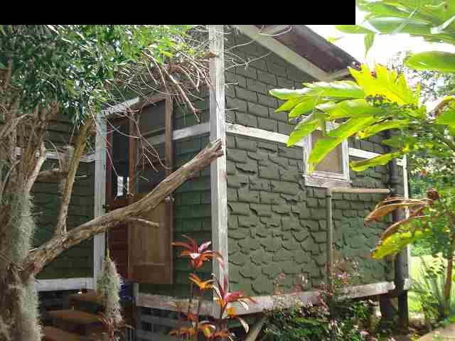 675 Mopua Street Haiku, HI 96708 - Photo 6 of 18 a view of a house with a tree