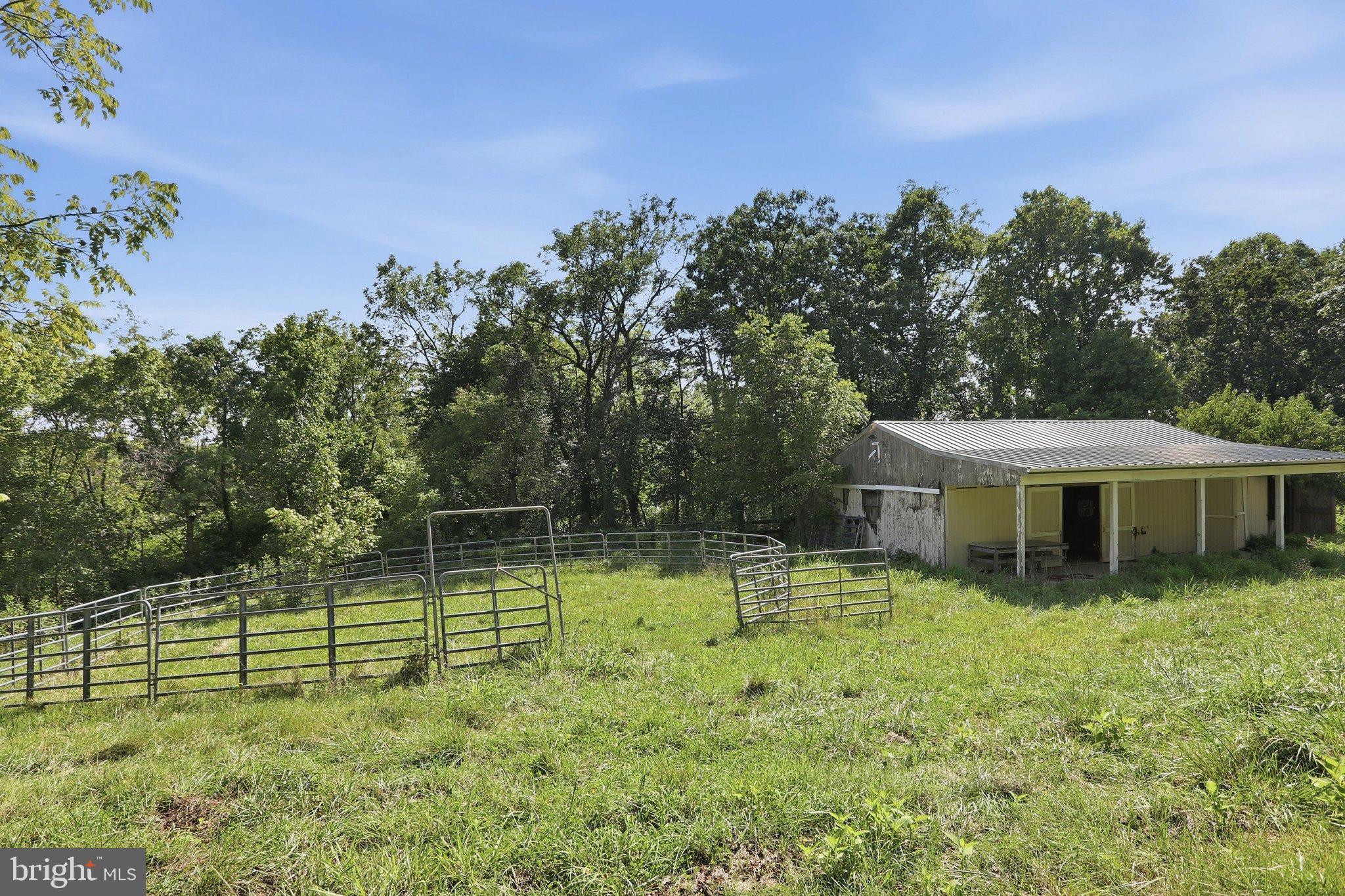 847 Jonathan Road Linden, VA 22642 - Photo 3 of 49 Gallery Image 3