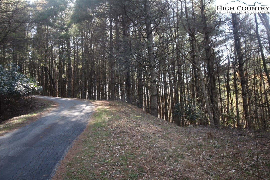 Pine Swamp Road Fleetwood, NC 28626 - Photo 4 of 5 a view of a yard with large trees