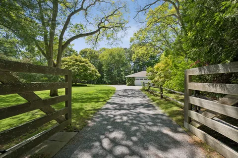 a view of a yard with an trees