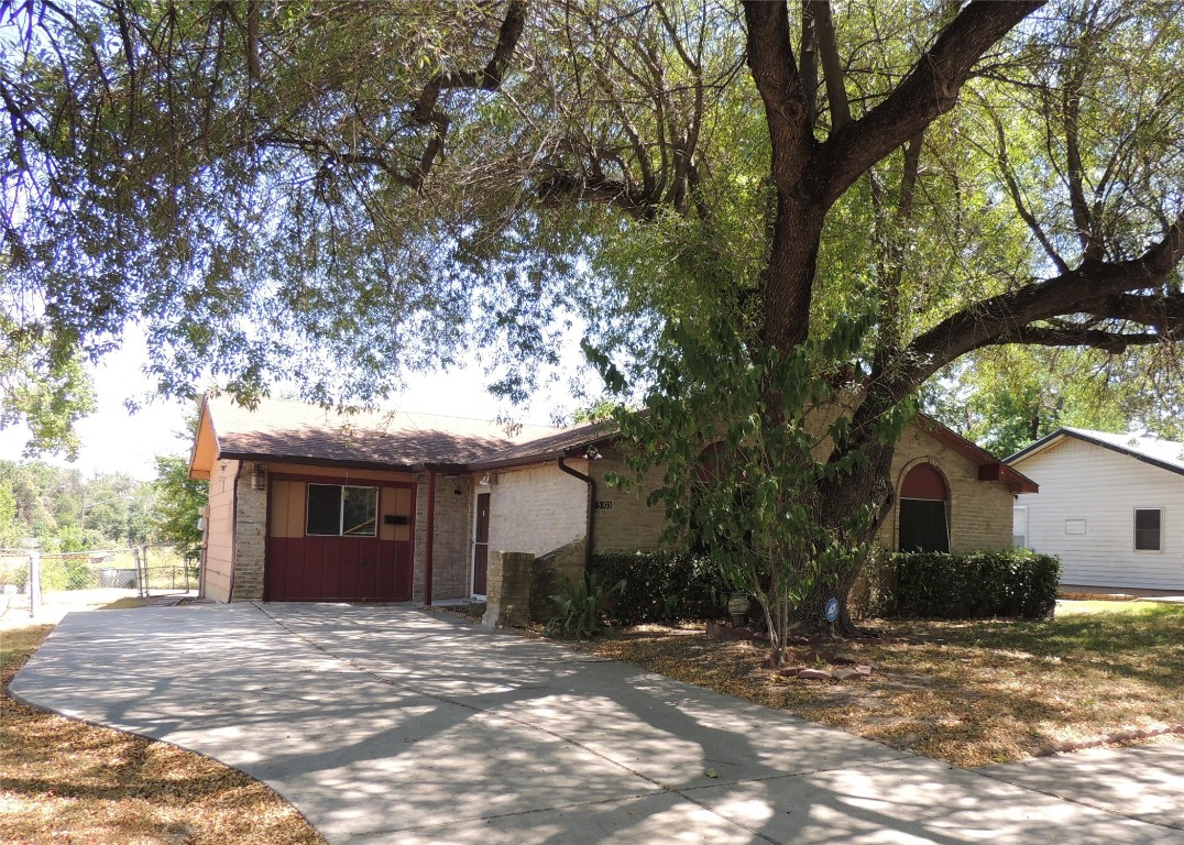 a view of a house with a yard tree s