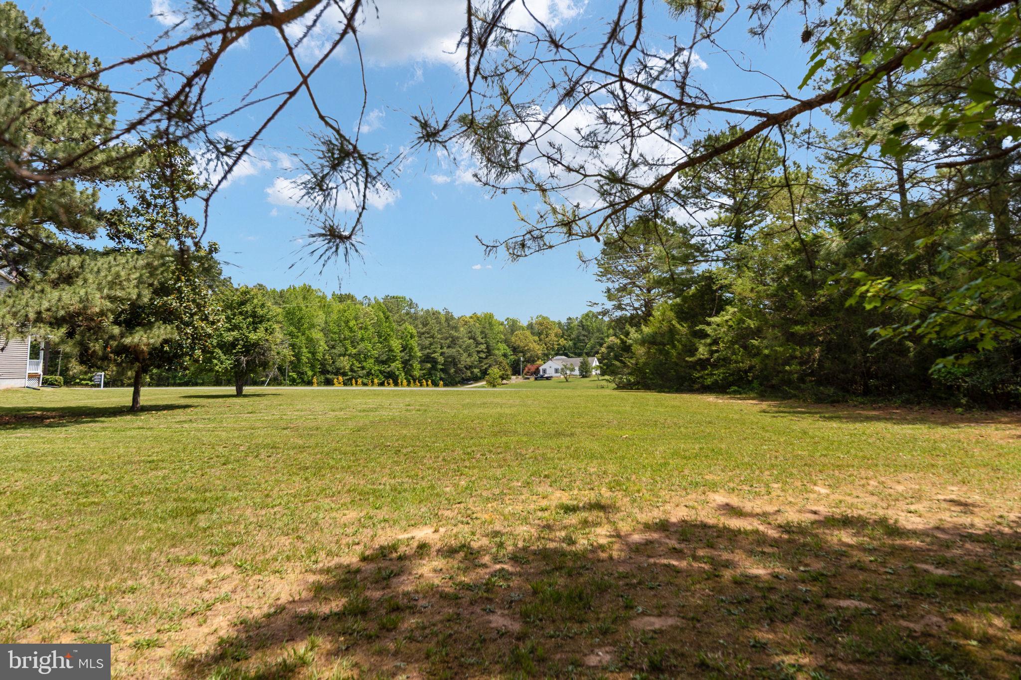22088 Landora Bridge Road Ruther Glen, VA 22546 - Photo 107 of 122 Spacious green retreat awaits you.