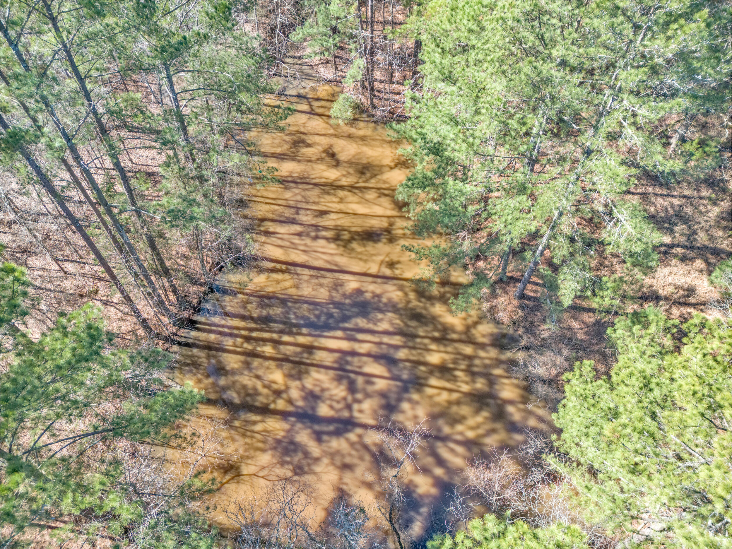 2514 Greensboro Road Washington, GA 30673 - Photo 15 of 36 2514 Greensboro Rd12