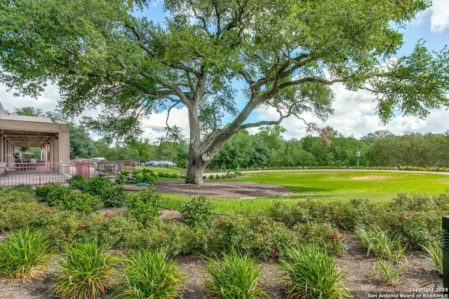 a view of a house with a big yard