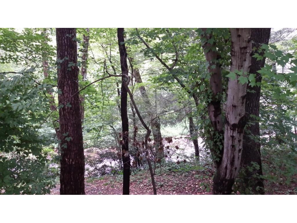 409 Rittertown Road Hampton, TN 37658 - Photo 24 of 26 Photo 24