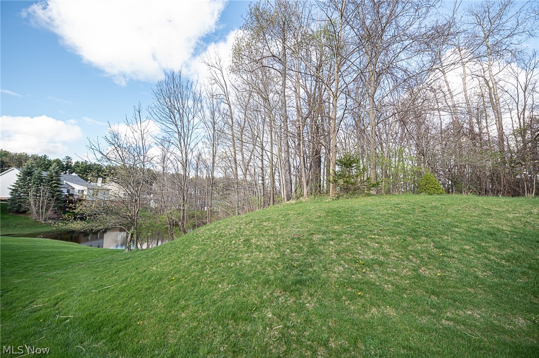 116 Chimney Ridge Chardon, OH 44024 - Photo 29 of 30 Gallery Image 29