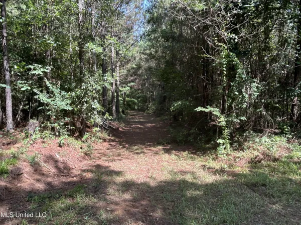 $515,850 | Bonds Road, Roxie, MS 39661