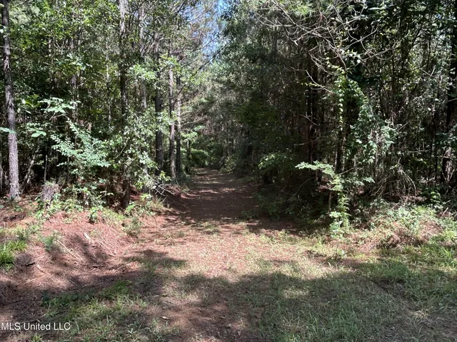 $515,850 | Bonds Road, Roxie, MS 39661