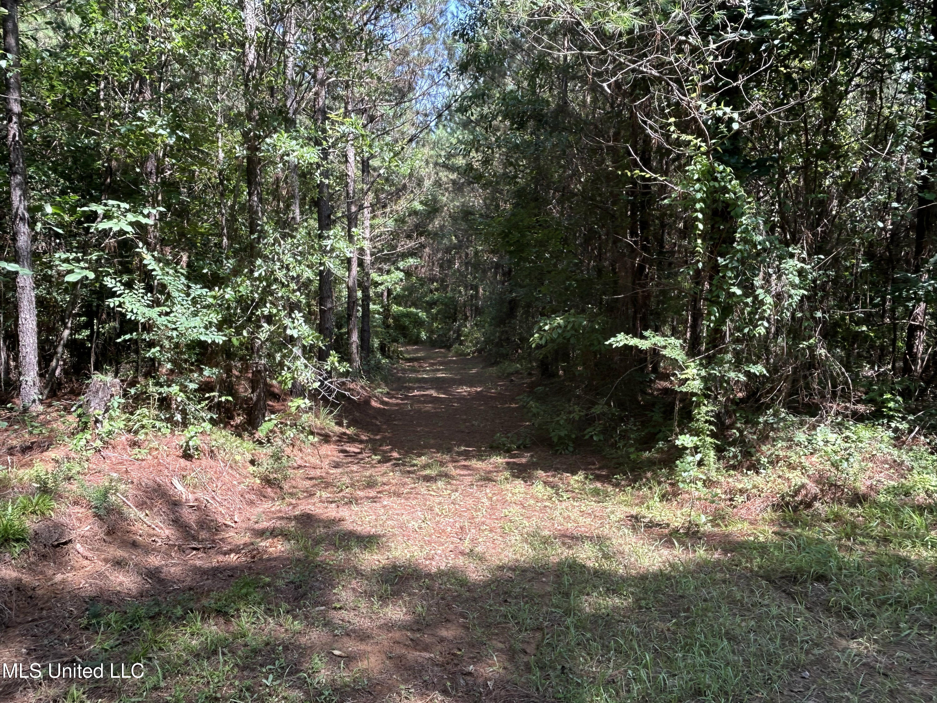 Bonds Road Roxie, MS 39661 - Photo 13 of 22 IMG_5297 4