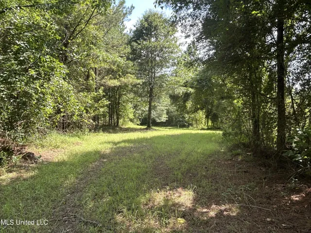 $515,850 | Bonds Road, Roxie, MS 39661