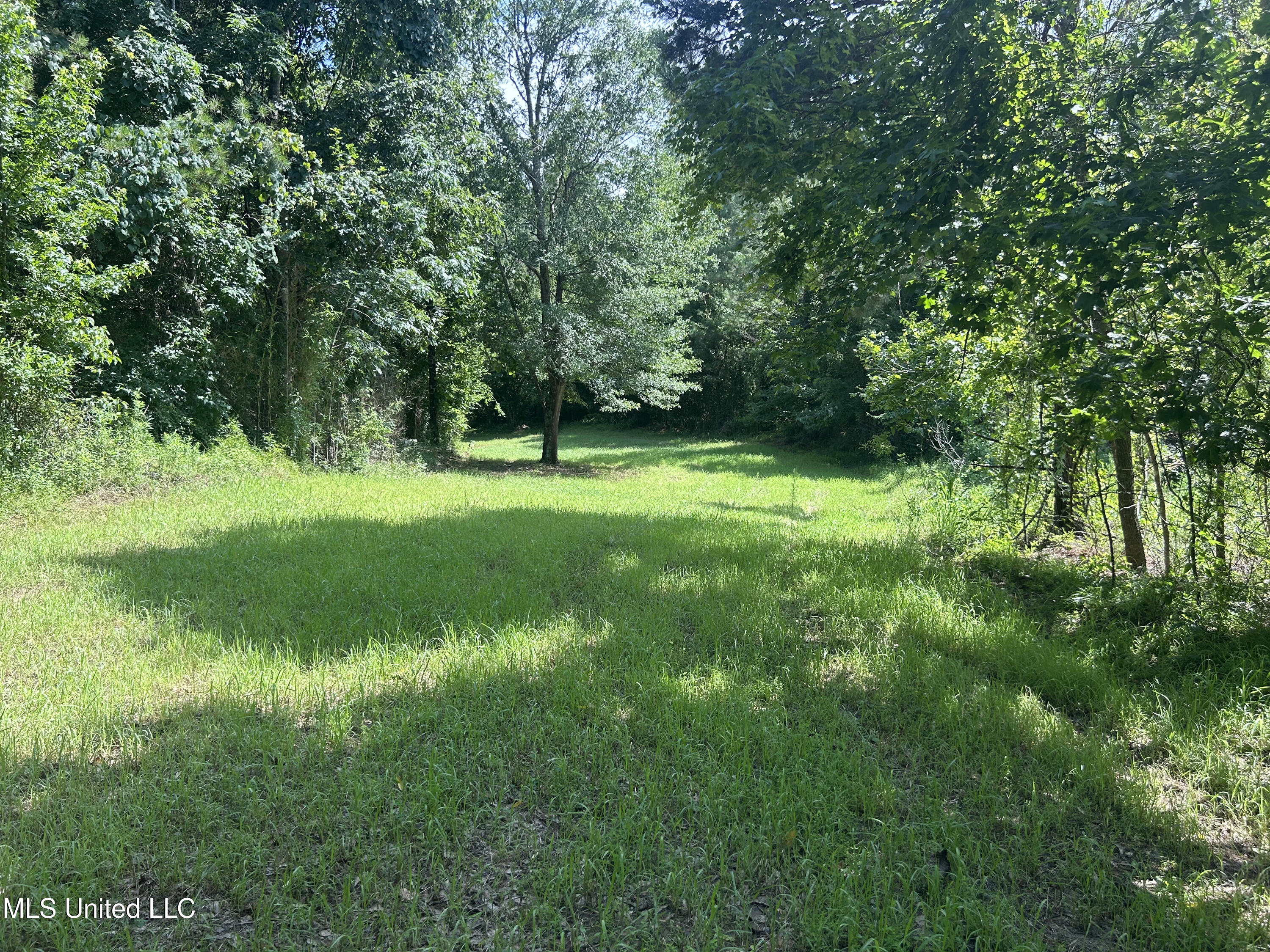 Bonds Road Roxie, MS 39661 - Photo 15 of 22 IMG_5299 4