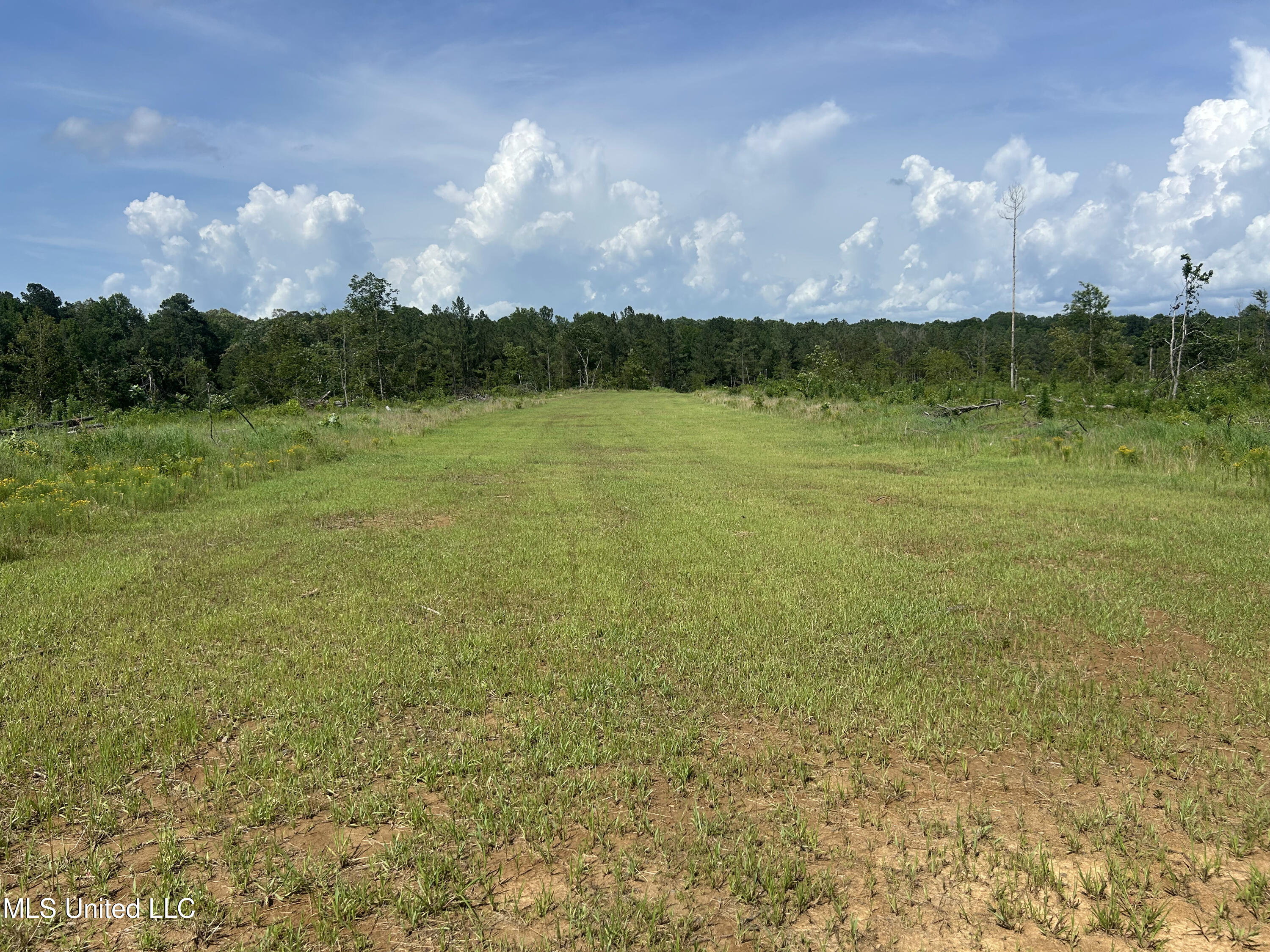 Bonds Road Roxie, MS 39661 - Photo 16 of 22 IMG_5300 4