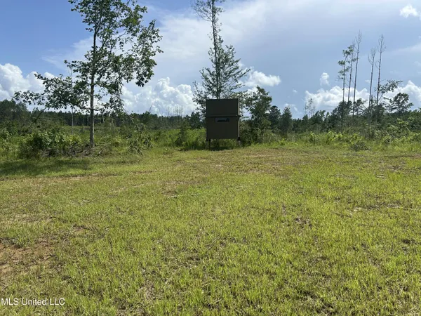 $515,850 | Bonds Road, Roxie, MS 39661