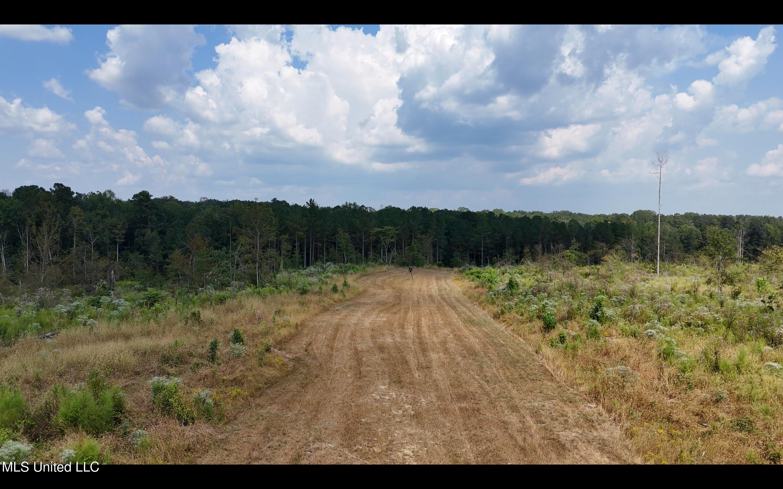 Bonds Road Roxie, MS 39661 - Photo 18 of 22 Screen Shot 2025-09-19 at 2.29.07 PM