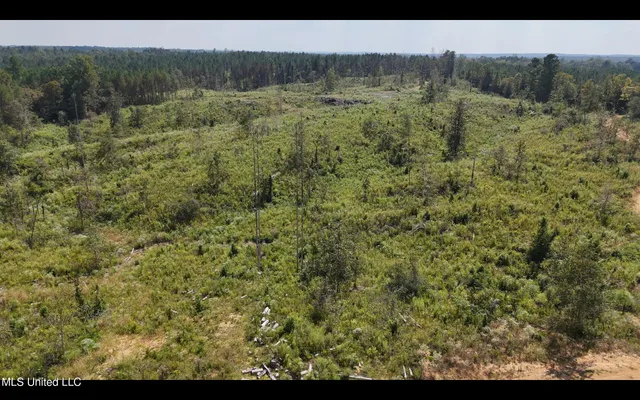 $515,850 | Bonds Road, Roxie, MS 39661