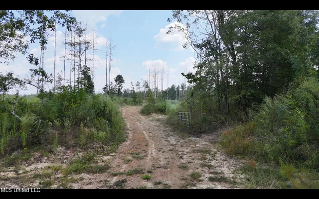 $515,850 | Bonds Road, Roxie, MS 39661