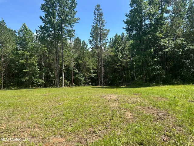 $515,850 | Bonds Road, Roxie, MS 39661