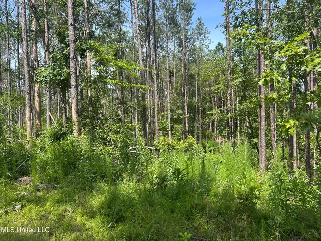 $515,850 | Bonds Road, Roxie, MS 39661