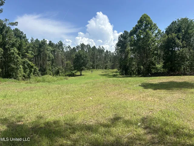 $515,850 | Bonds Road, Roxie, MS 39661