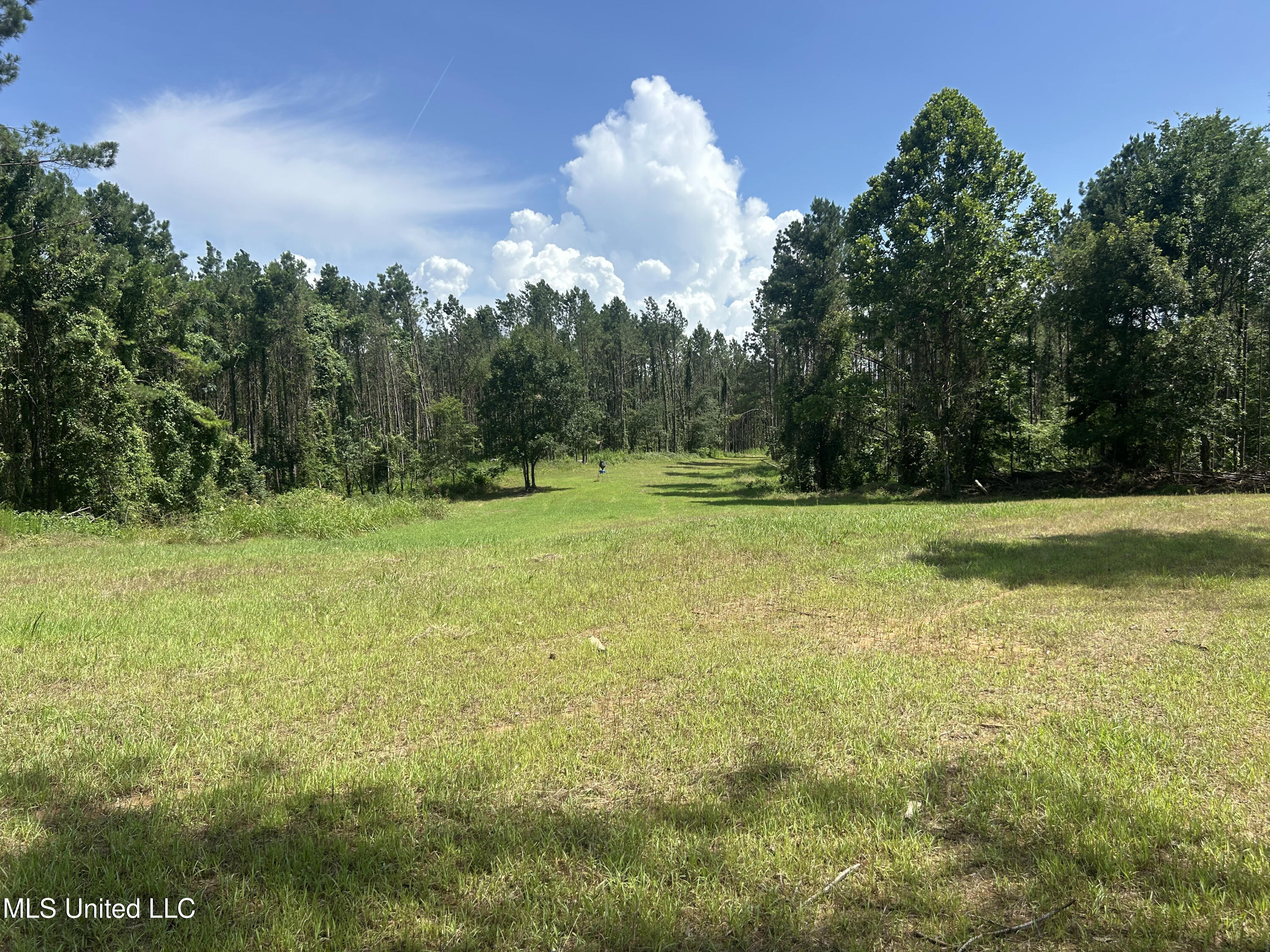 Bonds Road Roxie, MS 39661 - Photo 4 of 22 IMG_5288 4