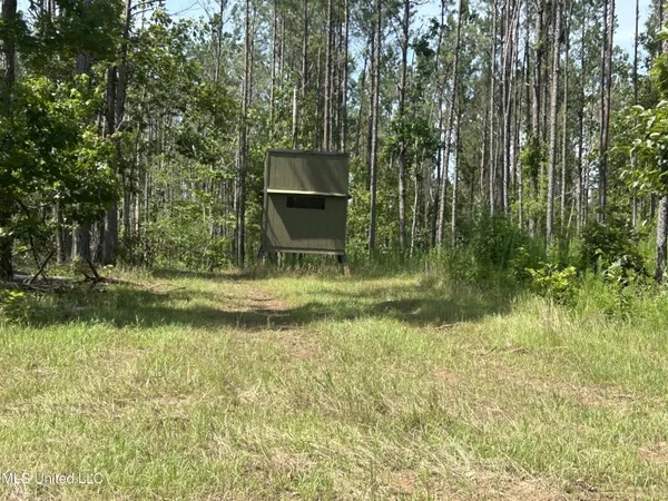$515,850 | Bonds Road, Roxie, MS 39661