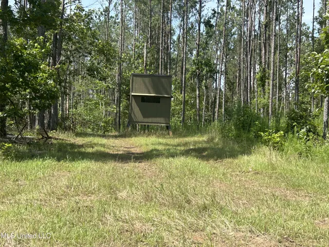 $515,850 | Bonds Road, Roxie, MS 39661