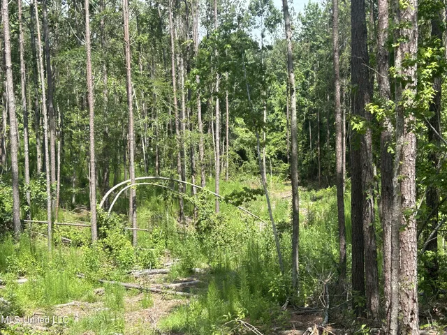 $515,850 | Bonds Road, Roxie, MS 39661