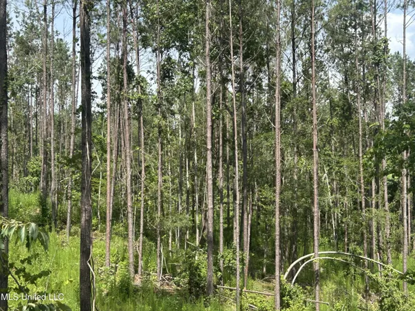 $515,850 | Bonds Road, Roxie, MS 39661