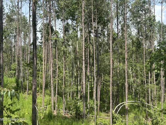 $515,850 | Bonds Road, Roxie, MS 39661