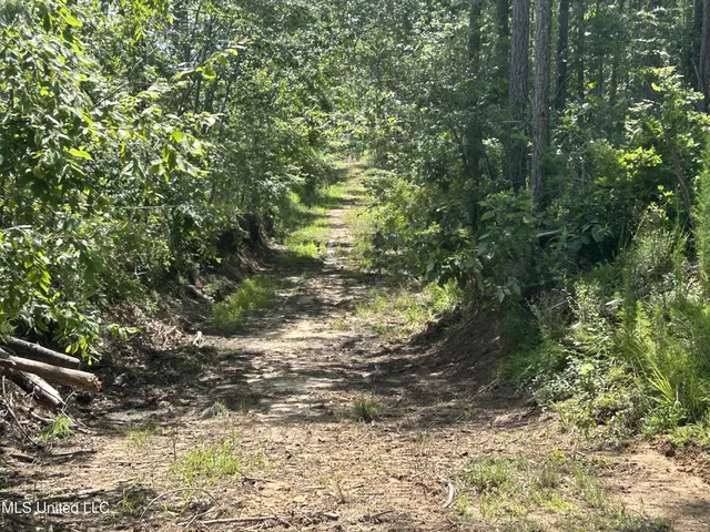 $515,850 | Bonds Road, Roxie, MS 39661