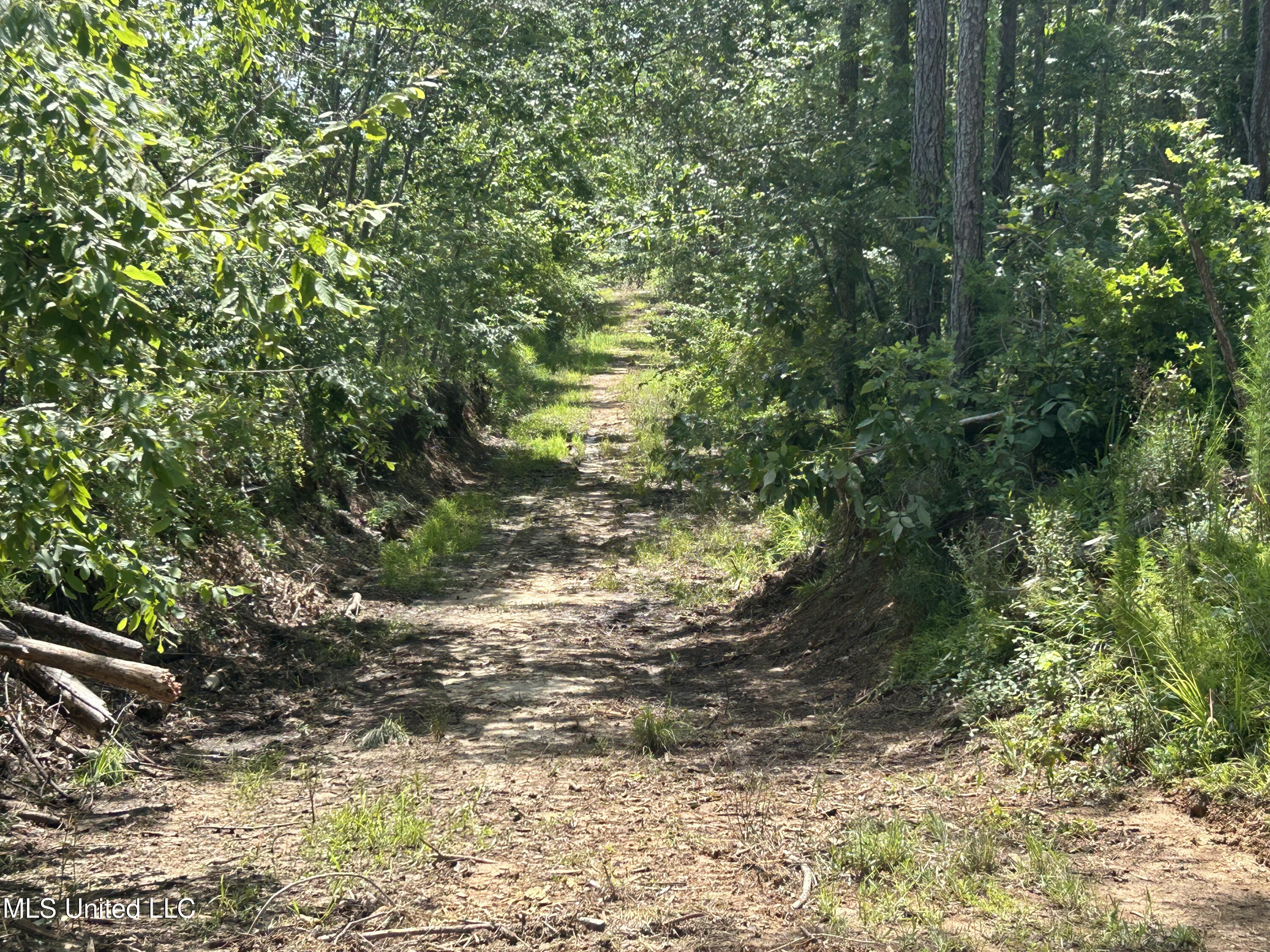 Bonds Road Roxie, MS 39661 - Photo 8 of 22 IMG_5292 4