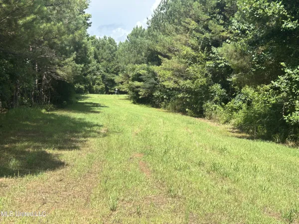 $515,850 | Bonds Road, Roxie, MS 39661