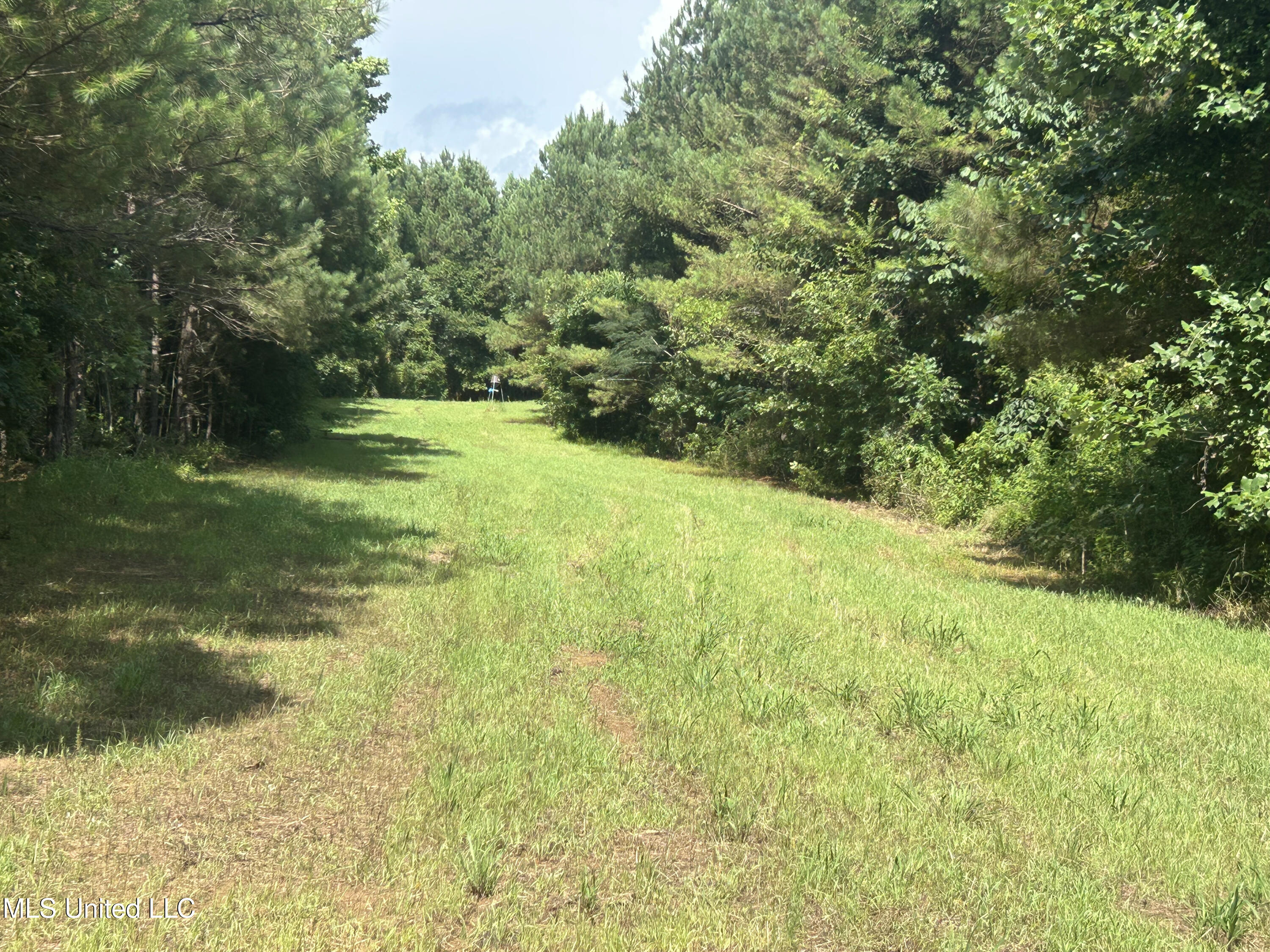 Bonds Road Roxie, MS 39661 - Photo 9 of 22 IMG_5293 4