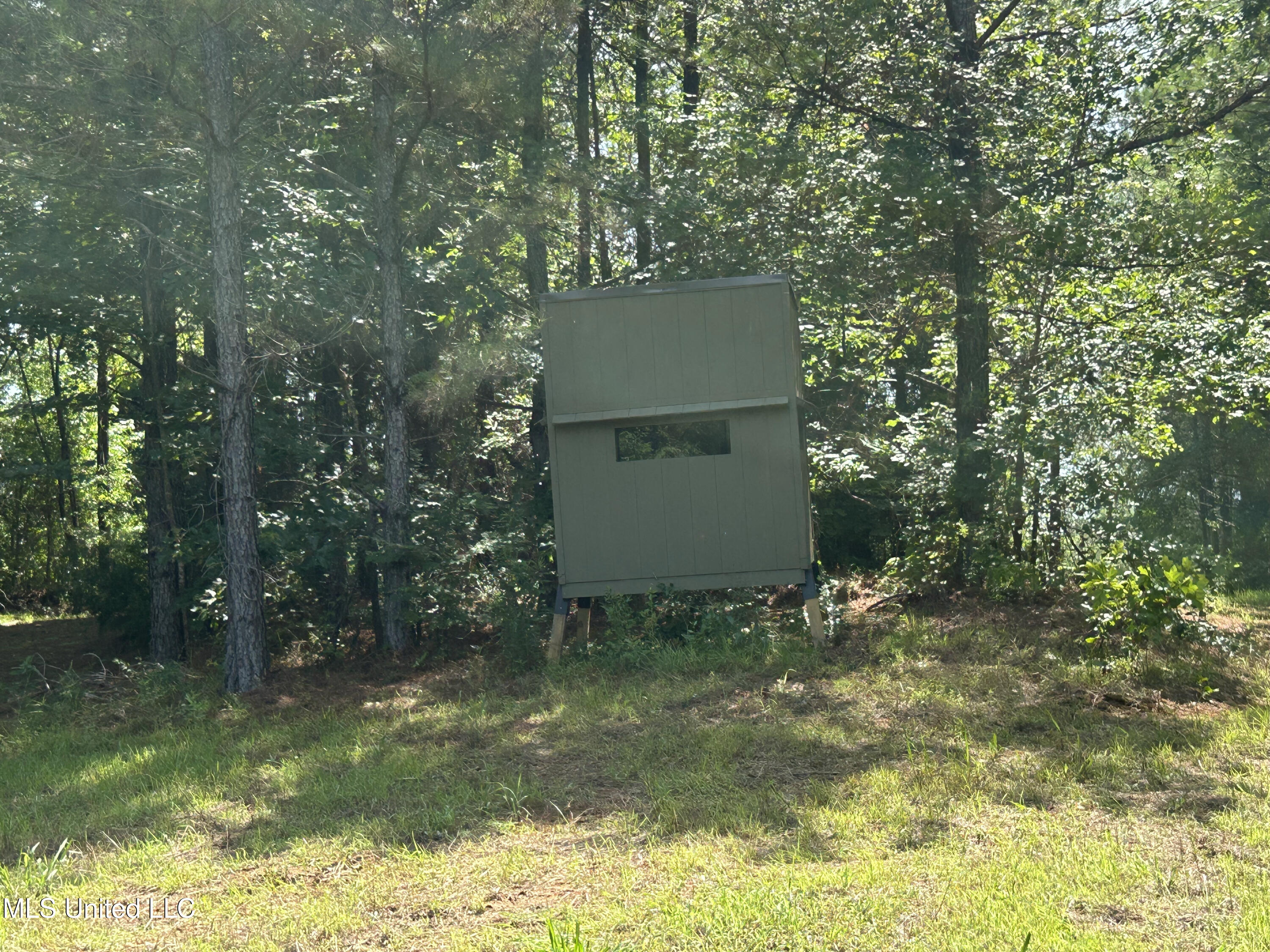 Bonds Road Roxie, MS 39661 - Photo 10 of 22 IMG_5294 4