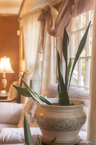 $695,000 | 224 Ray Road, New Haven, CT 06515