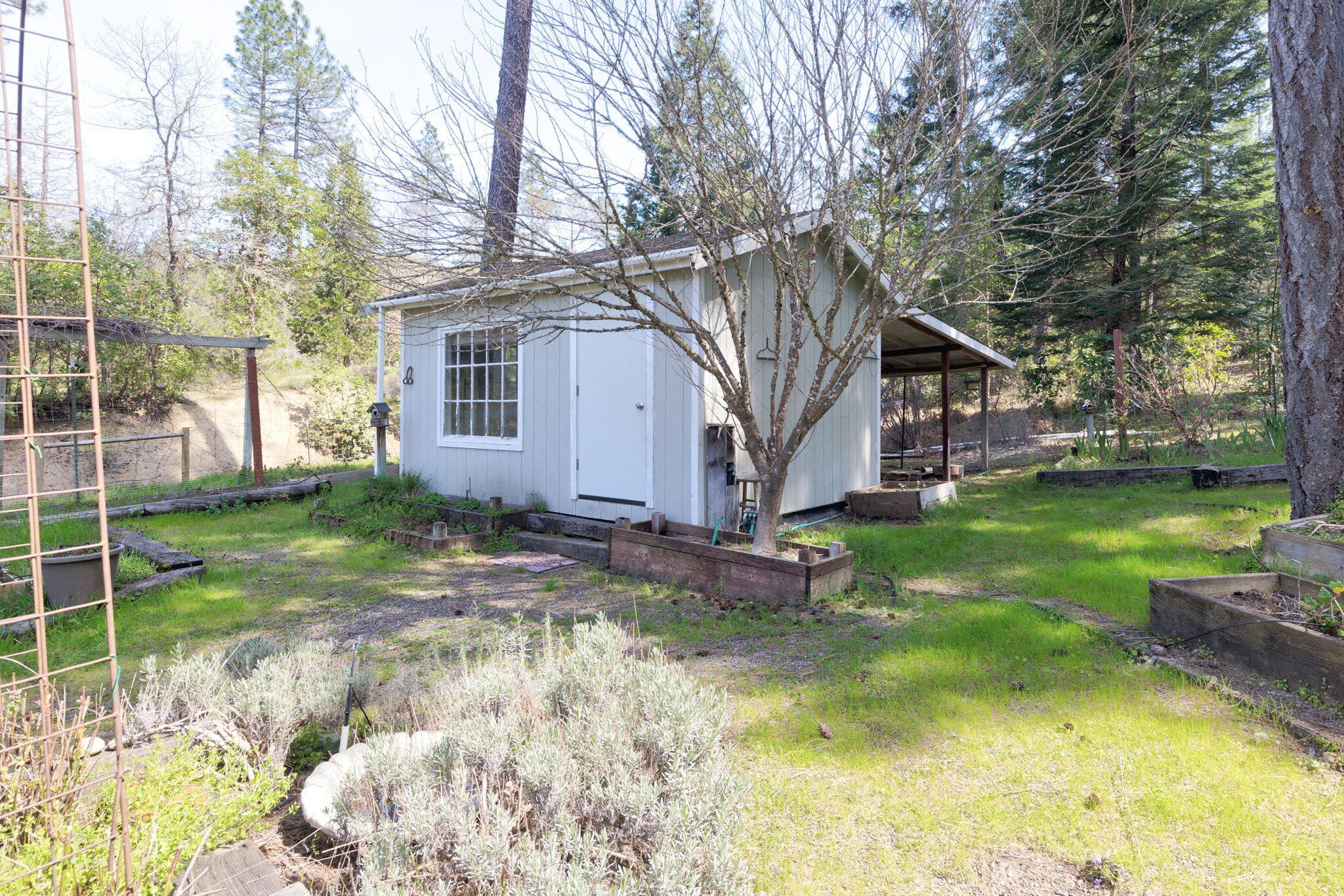 4241 Hugo Road Merlin, OR 97532 - Photo 27 of 40 20-web-or-mls-4241-hugo-rd