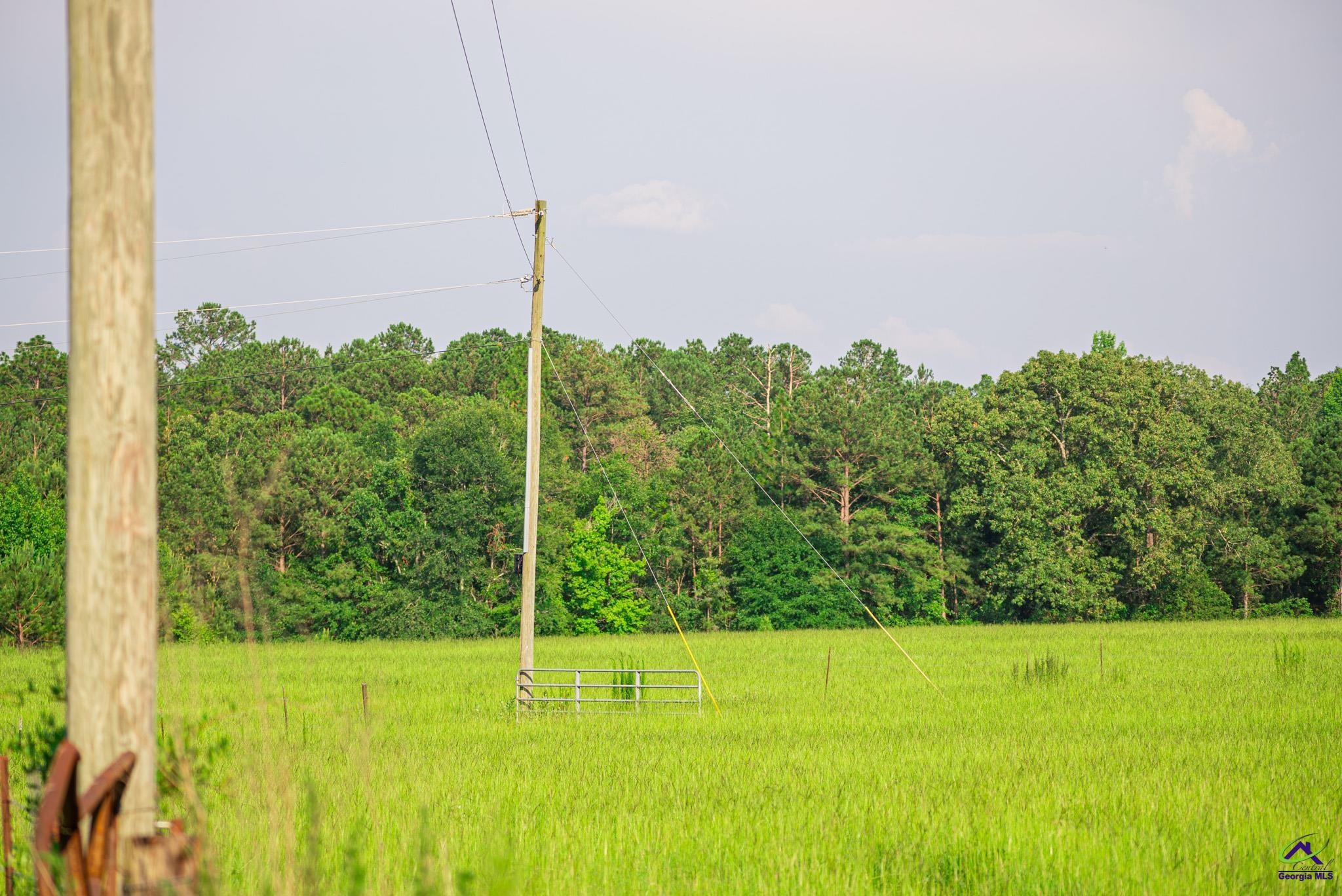 Southland Road Butler, GA 31006 - Photo 66 of 68