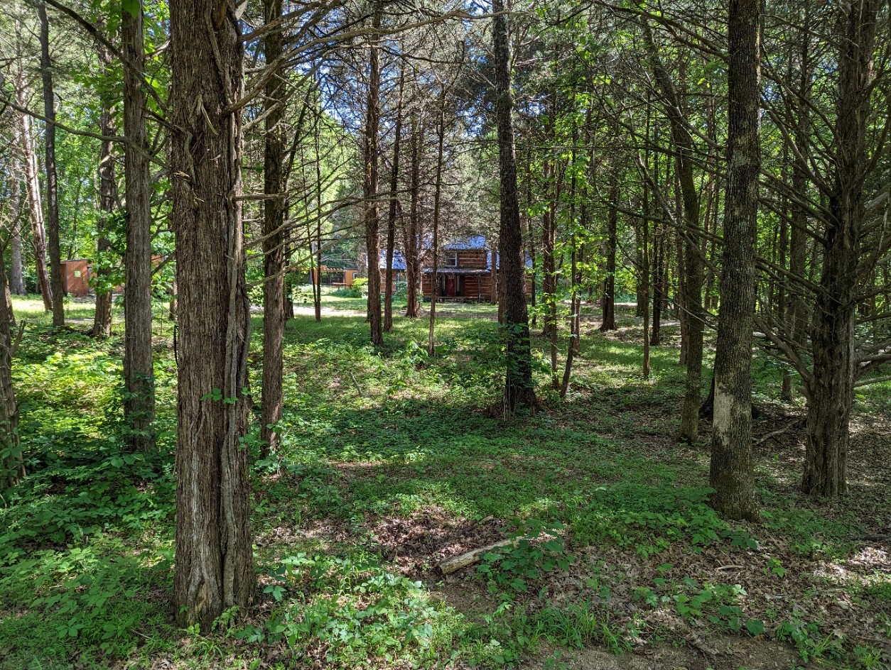 4747 Jones Road Christiana, TN 37037 - Photo 24 of 29 a big yard with lots of green space and trees